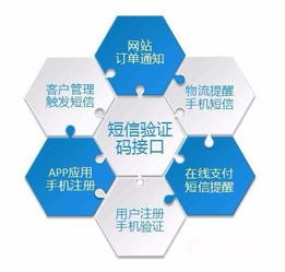 為什么需要這么多的驗證碼？——數(shù)字文化創(chuàng)意內容應用服務的視角